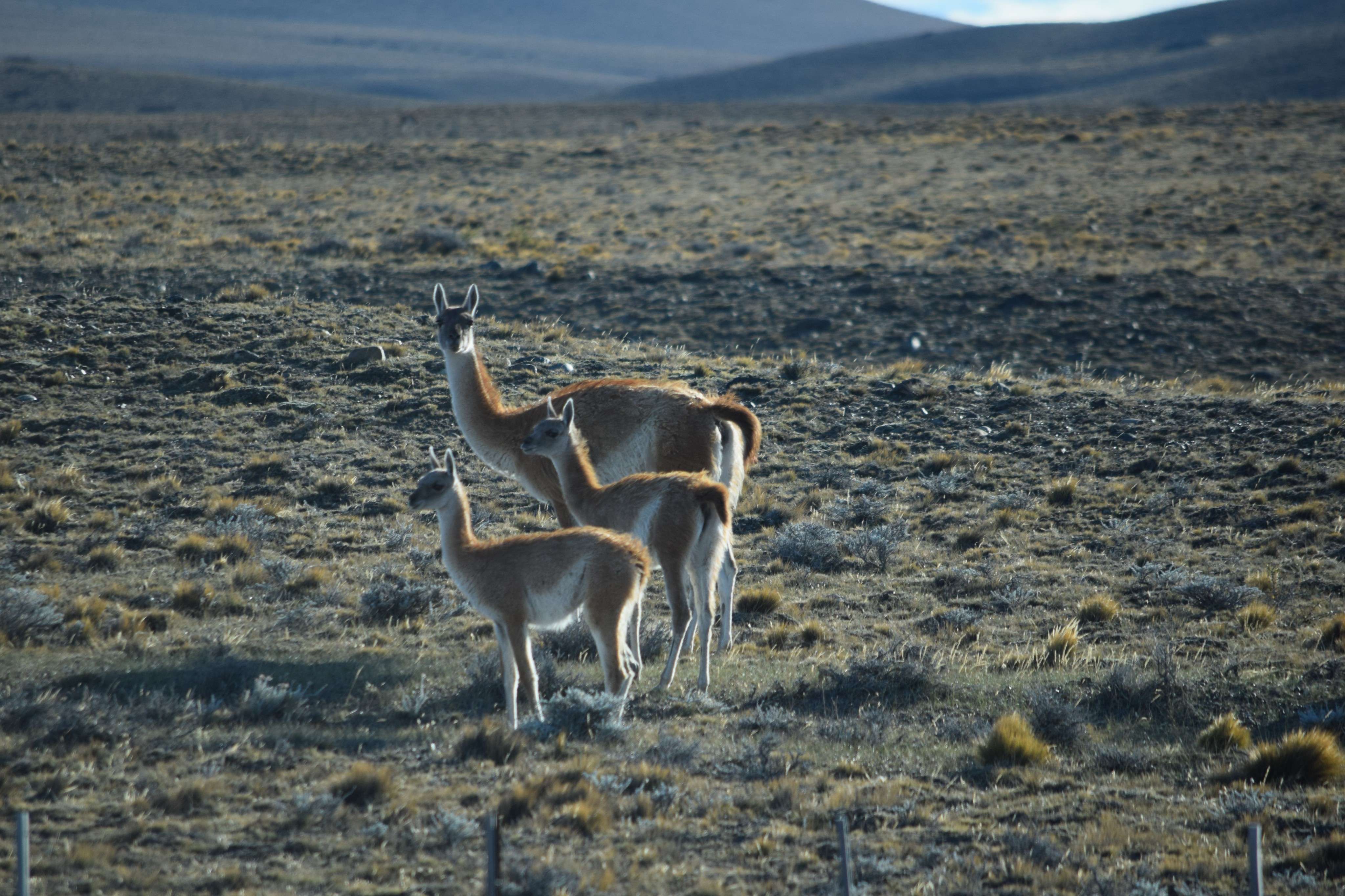 Photo 40